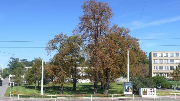 Kallista - Jirovce na Olsanskem namesti 1